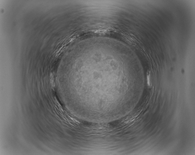 X0000057071347200509120837