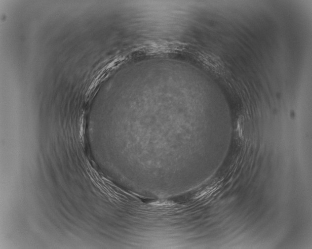 X0000057071348200509120837