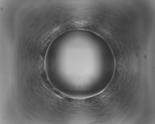 X0000057071349200509120836