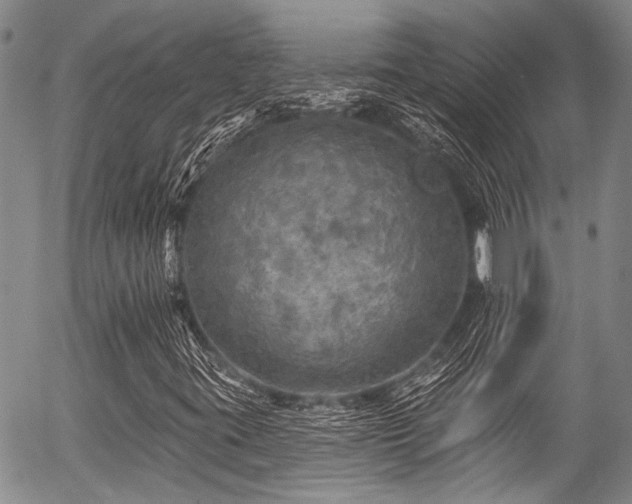 X0000057071395200509120835