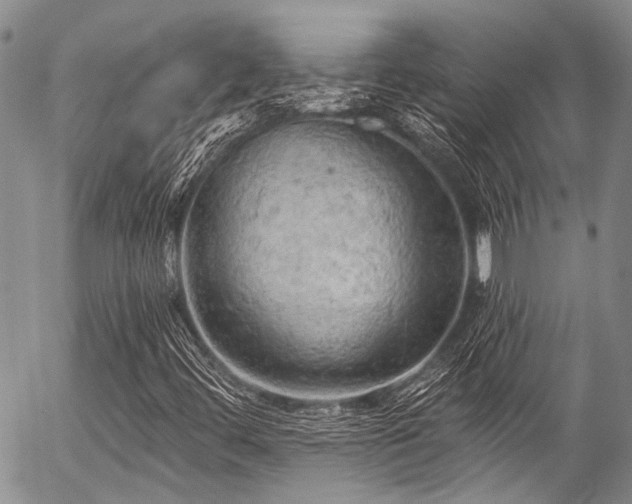 X0000057071444200509120835