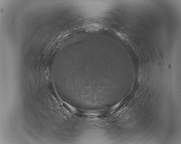 X0000057071445200509120835