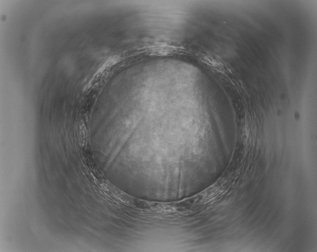 X0000057071446200509120835