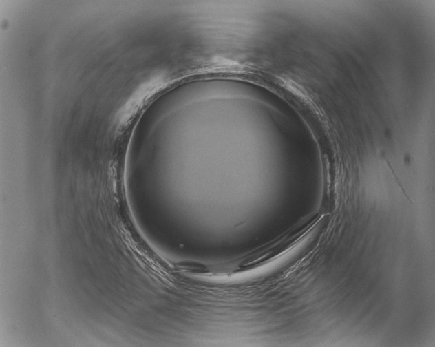 X0000057071455200509120835