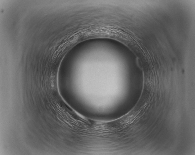 X0000057071490200509120833