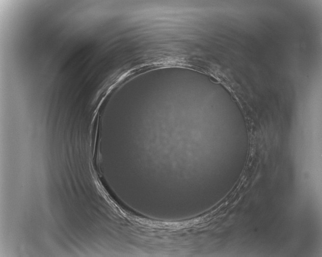 X0000057070002200509161530
