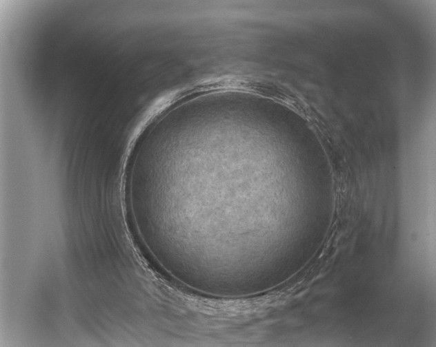 X0000057070006200509161530