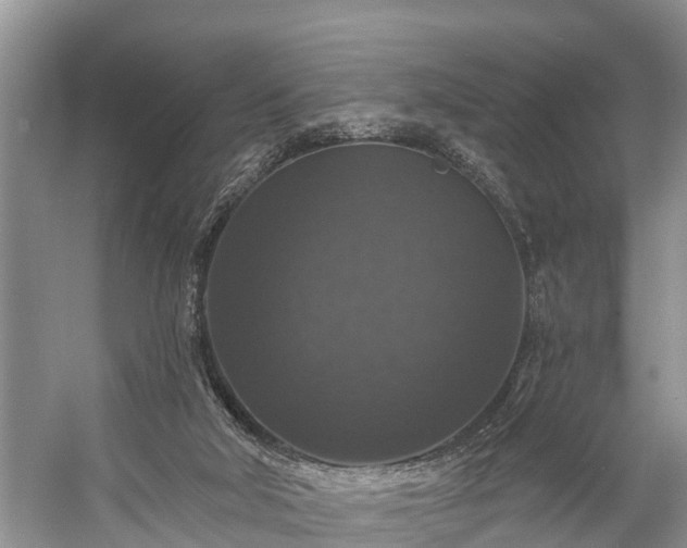 X0000057070018200509161530