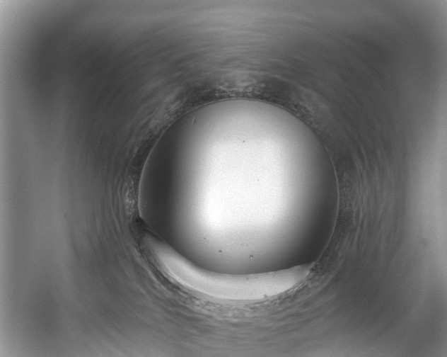 X0000057070040200509161529