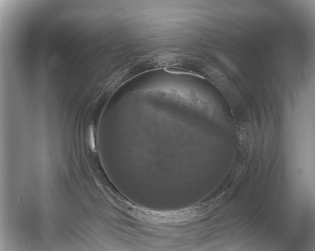X0000057070046200509161529