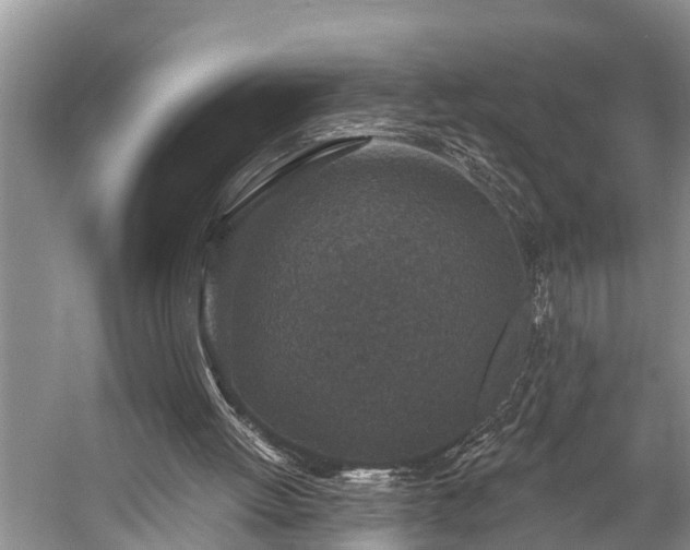X0000057070052200509161529