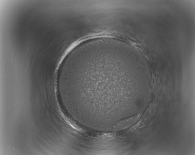 X0000057070056200509161529