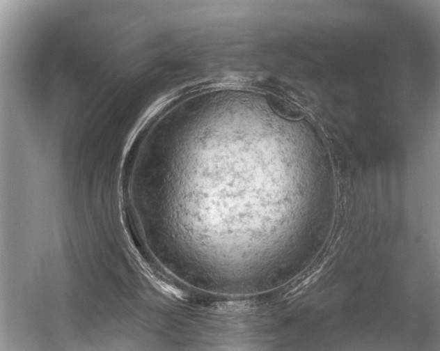 X0000057070102200509161528