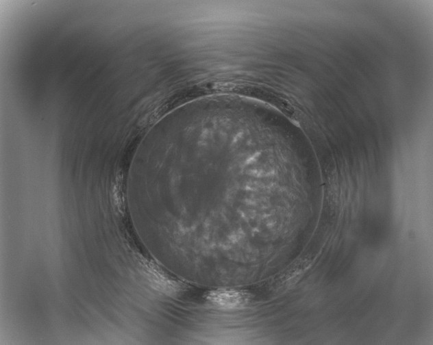 X0000057070181200509161527