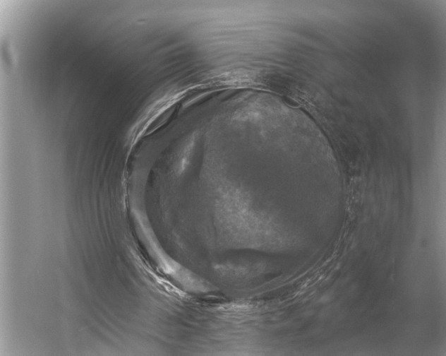 X0000057070194200509161527