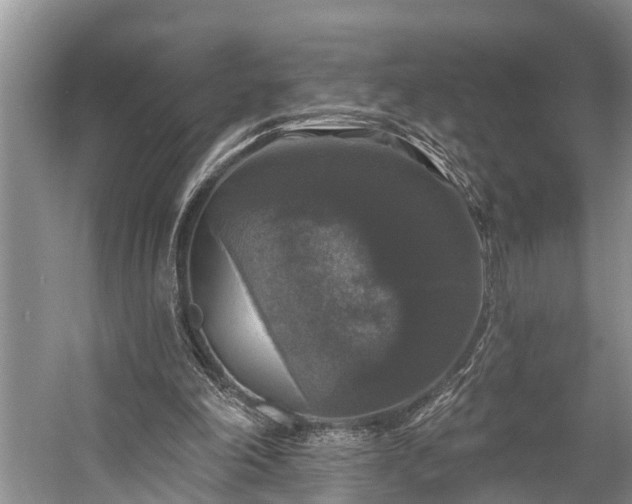 X0000057070198200509161527