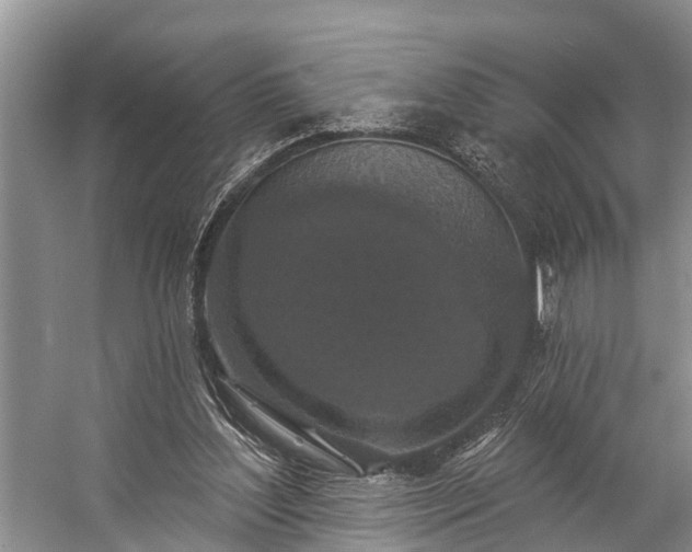 X0000057070204200509161527