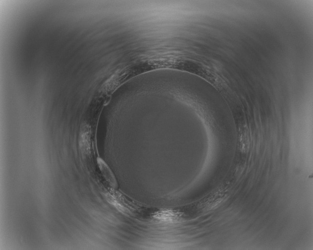 X0000057070231200509161526