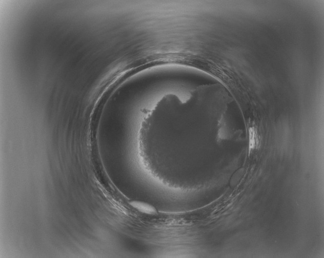 X0000057070243200509161525