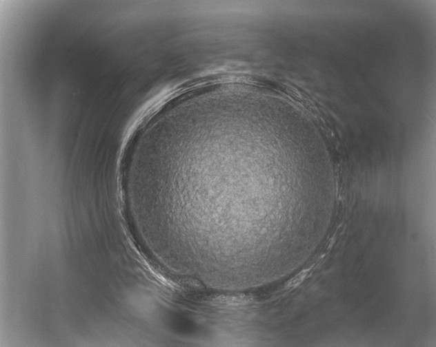 X0000057070245200509161525
