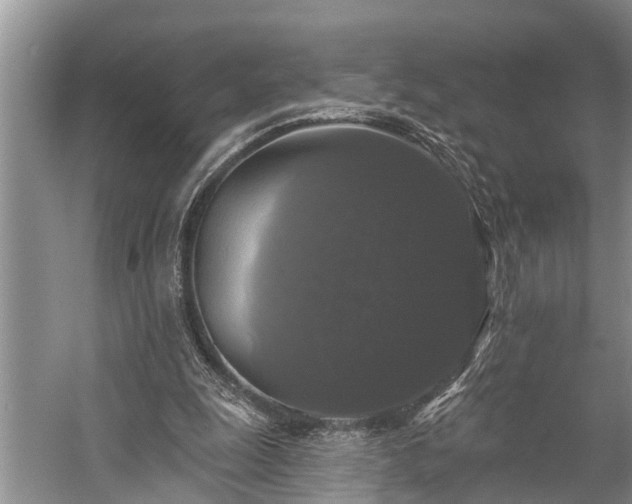 X0000057070247200509161525
