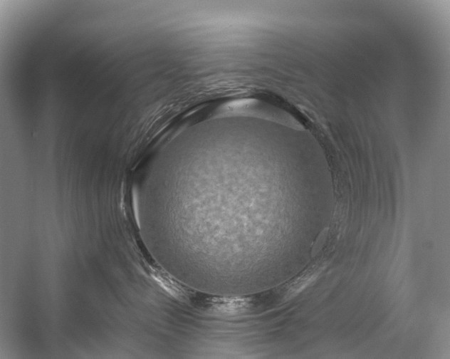 X0000057070288200509161526