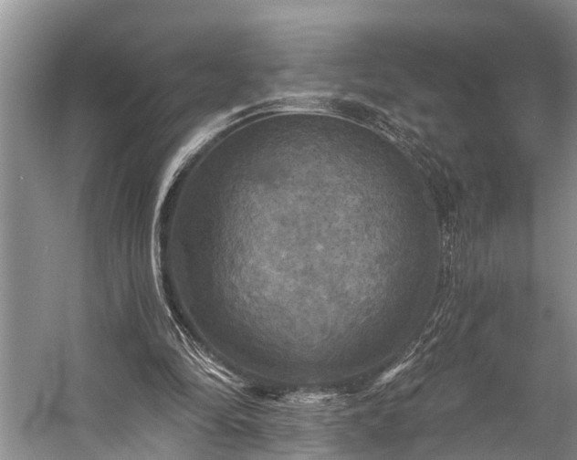 X0000057070294200509161525