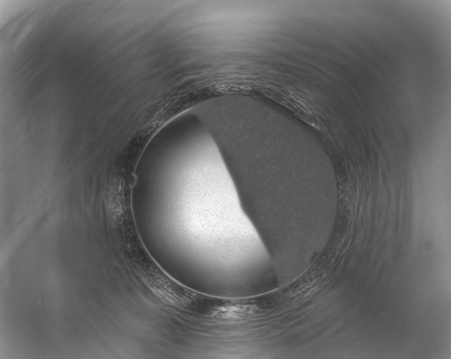 X0000057070323200509161525