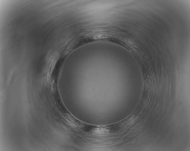 X0000057070327200509161525
