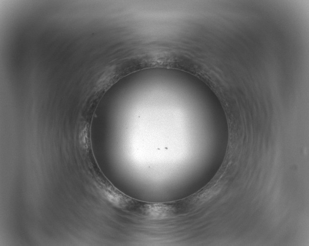 X0000057070336200509161524