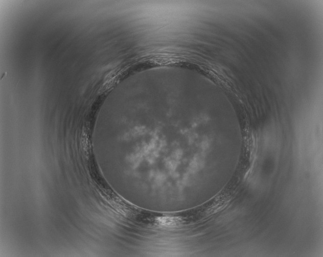 X0000057070371200509161524