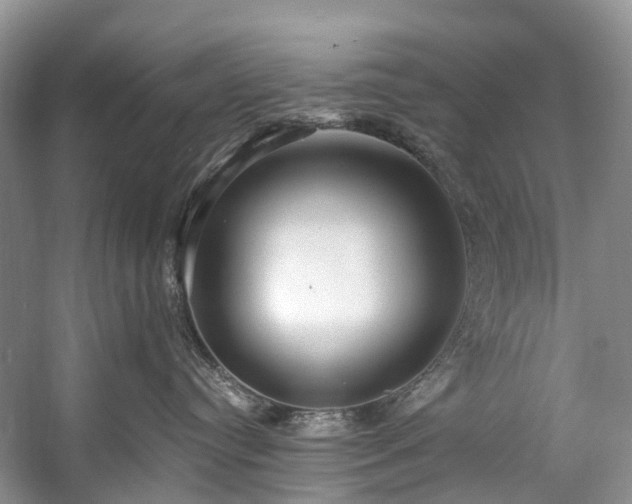 X0000057070384200509161524