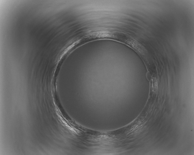 X0000057070390200509161523