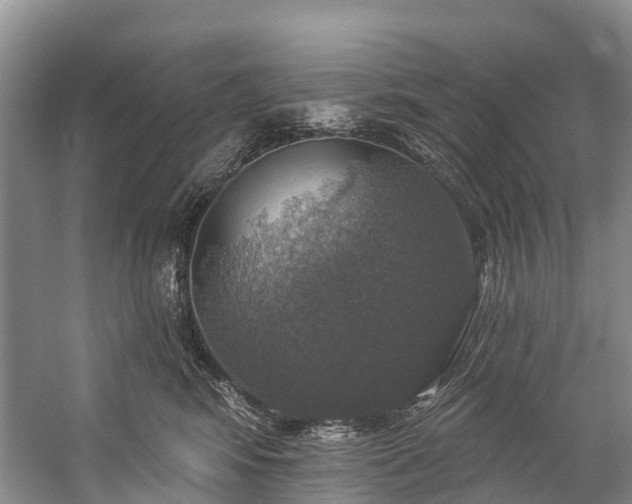 X0000057070424200509161523