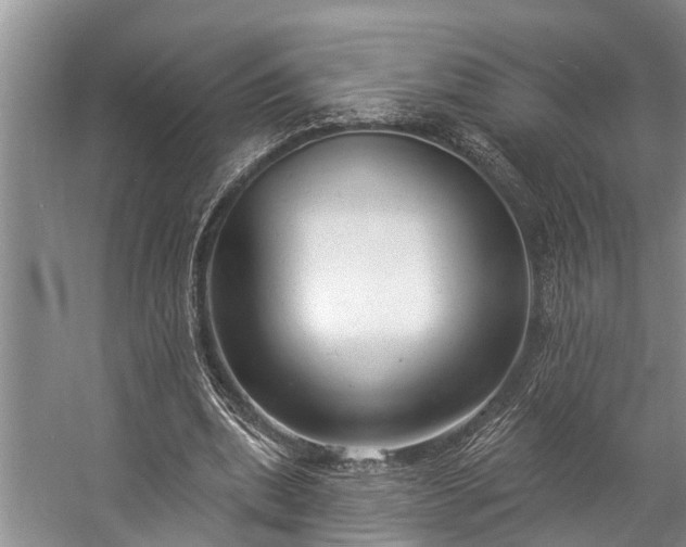 X0000057070439200509161522