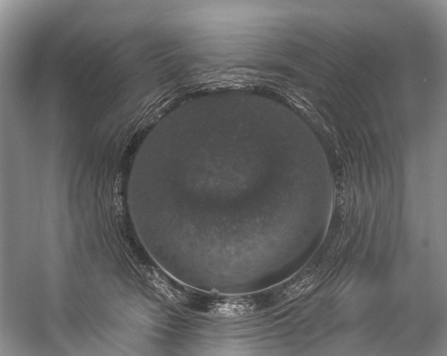 X0000057070466200509161522