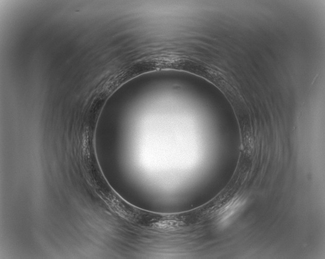 X0000057070468200509161523
