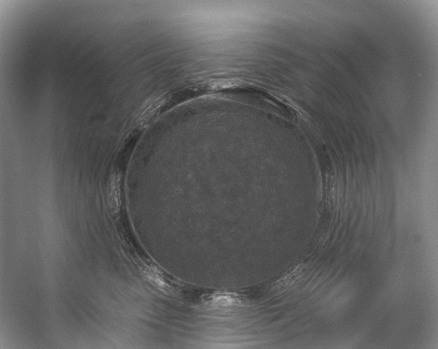 X0000057070475200509161523
