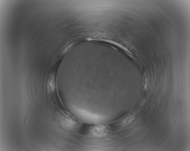 X0000057070479200509161523