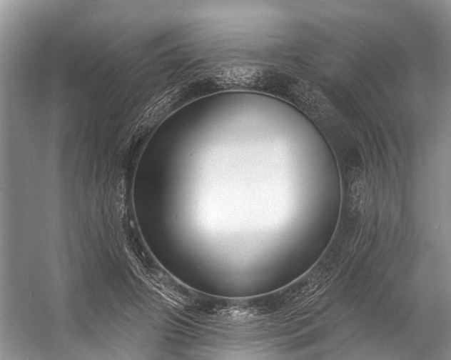 X0000057070498200509161522