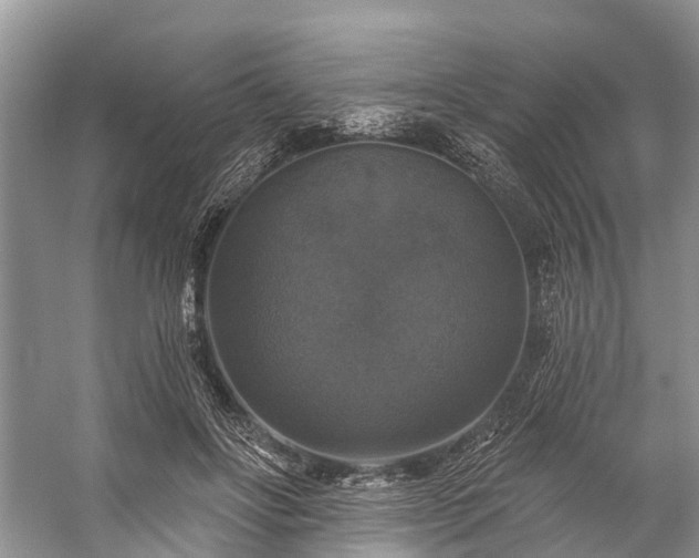 X0000057070502200509161522