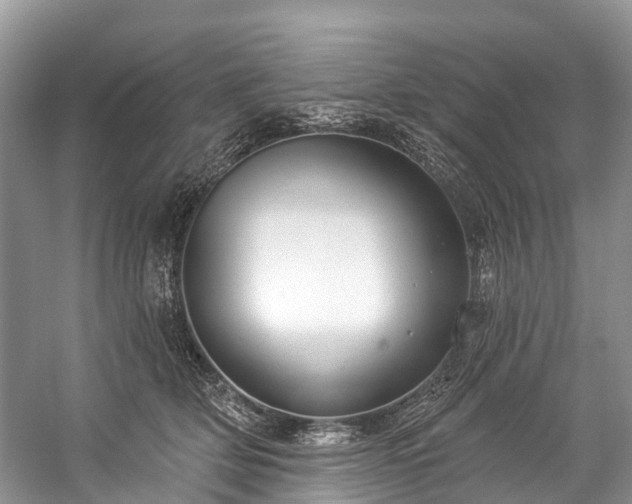 X0000057070514200509161521