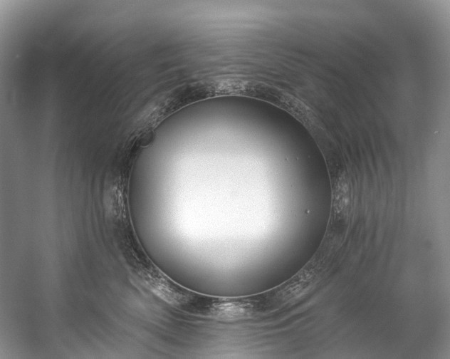 X0000057070522200509161521