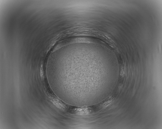 X0000057070524200509161521