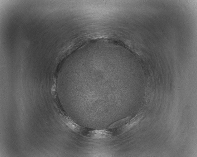 X0000057070528200509161521