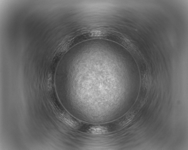X0000057070557200509161521