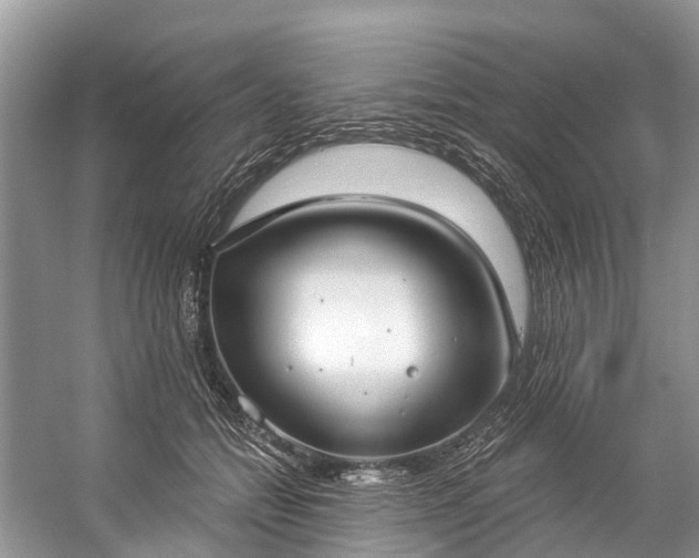 X0000057070558200509161521