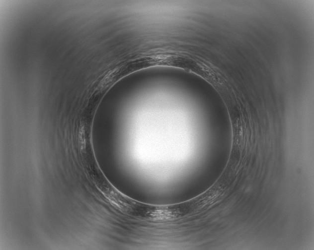 X0000057070562200509161521