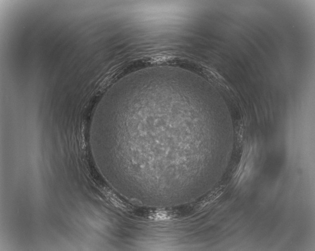 X0000057070565200509161521