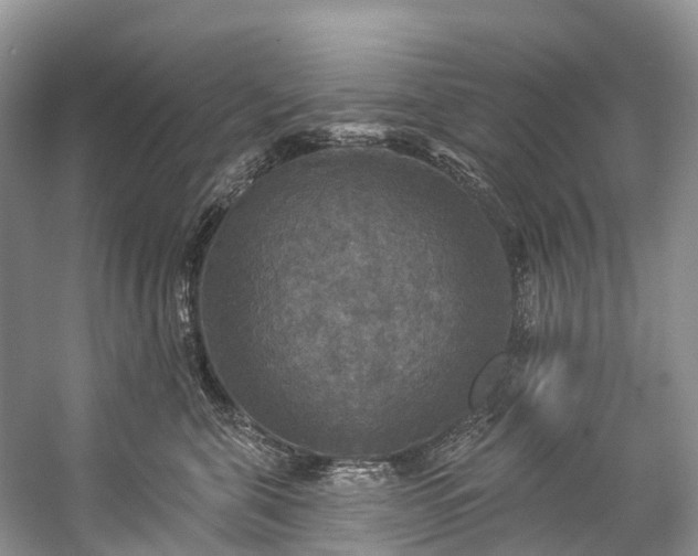 X0000057070571200509161521